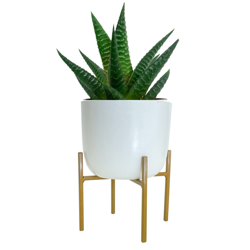Black Metal Six-Tier Plant Stand with Circular Design main image 0